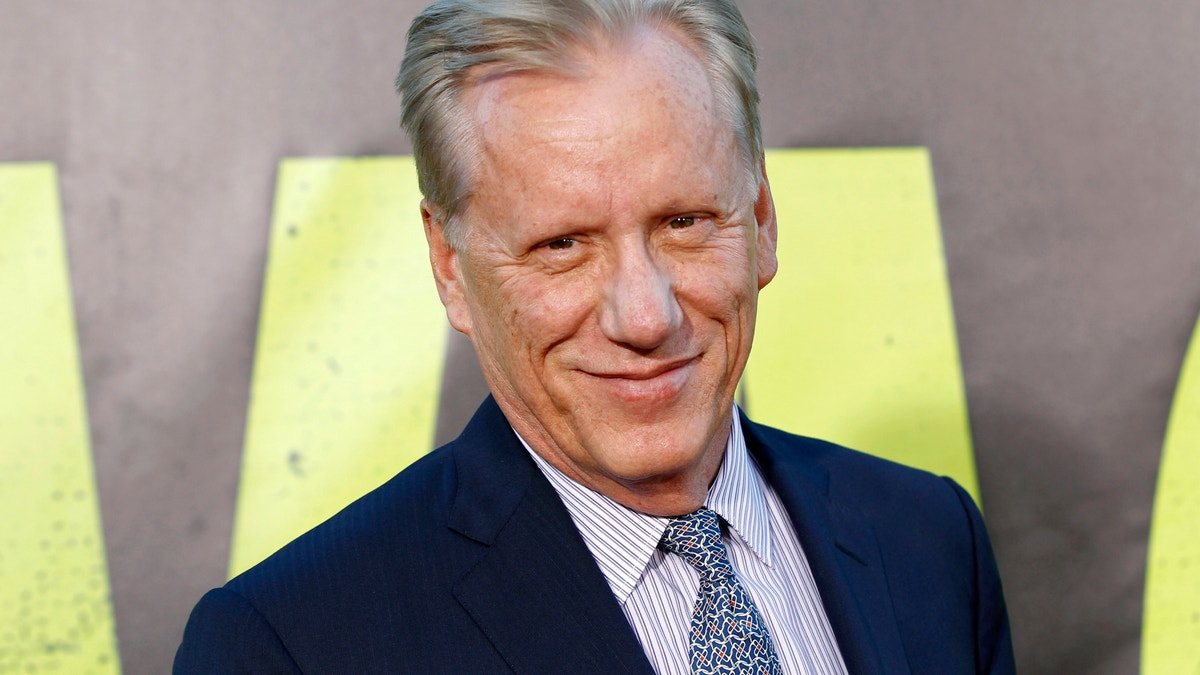 Actor James Woods arrives at the premiere of the film 