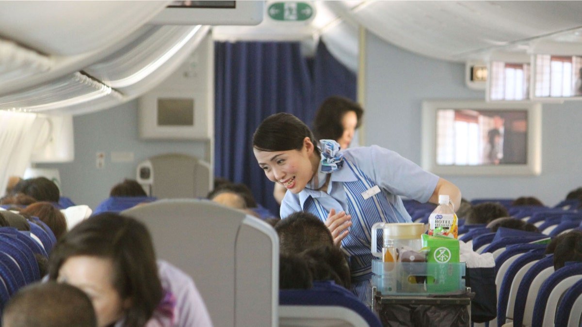 2f4f125a-Japan Boeing 787