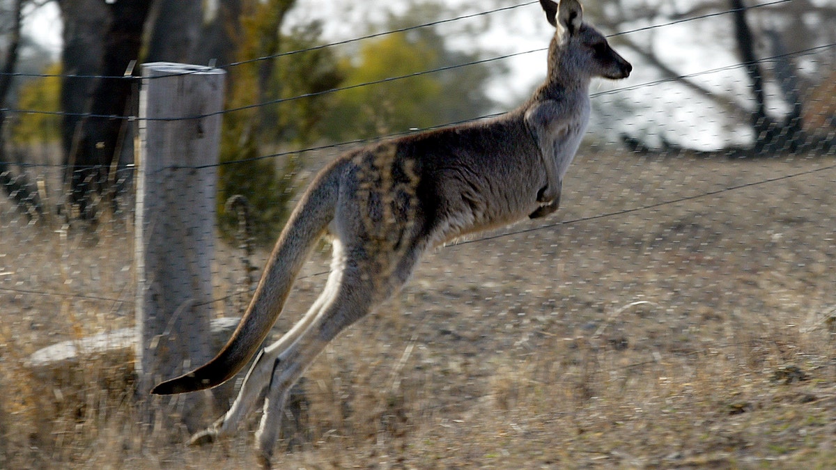 f39cf1a6-AUSTRALIA