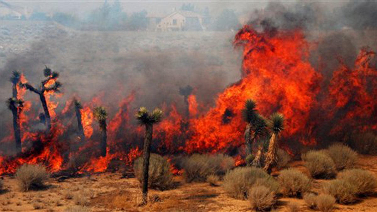 3a7da98a-California Wildfires