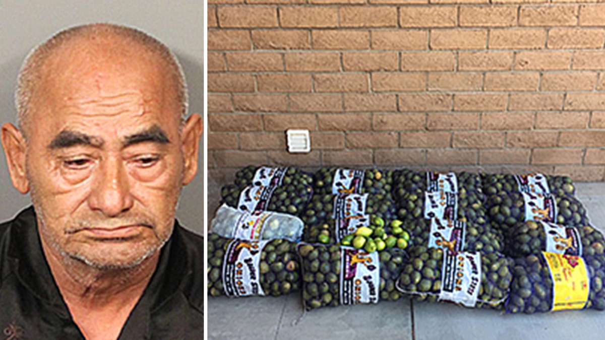 Dionicio Fierros, age 69 of Los Angeles, was arrested and booked at the Indio Jail for theft of agricultural products. The lemons were confiscated.