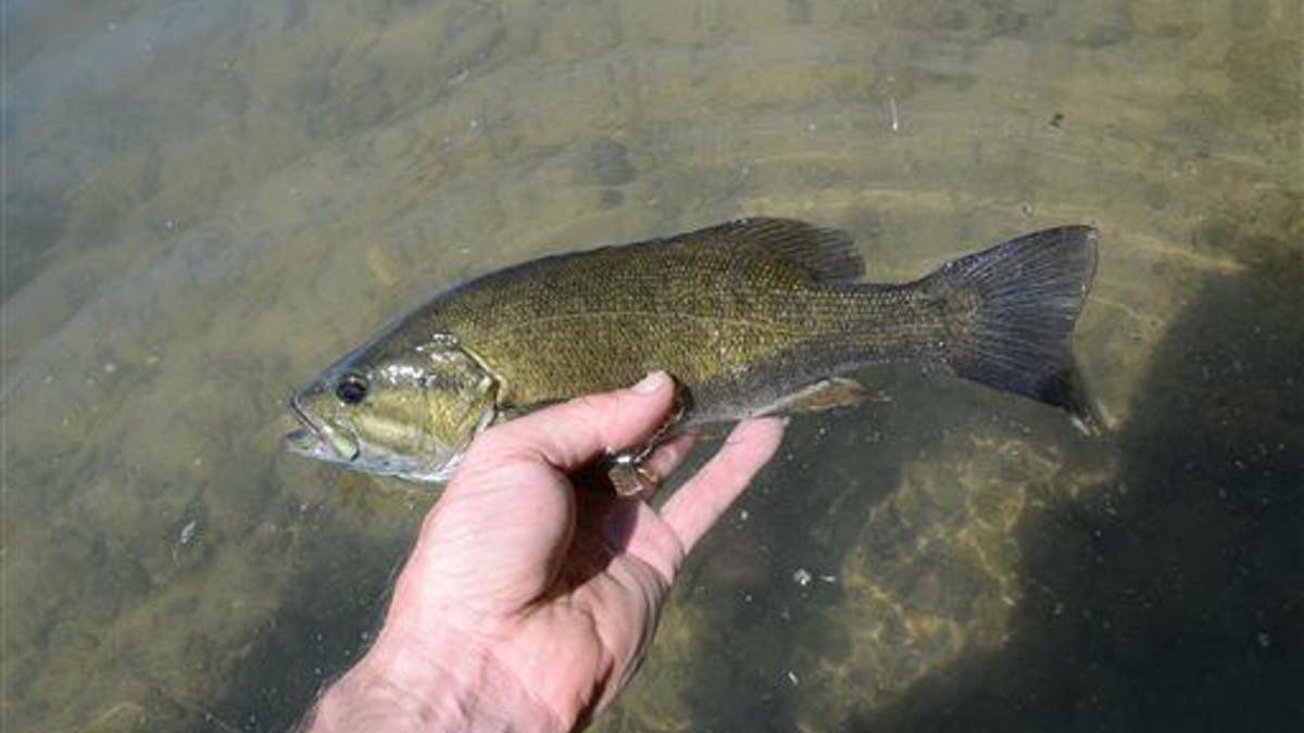 Outdoors Snake River Float