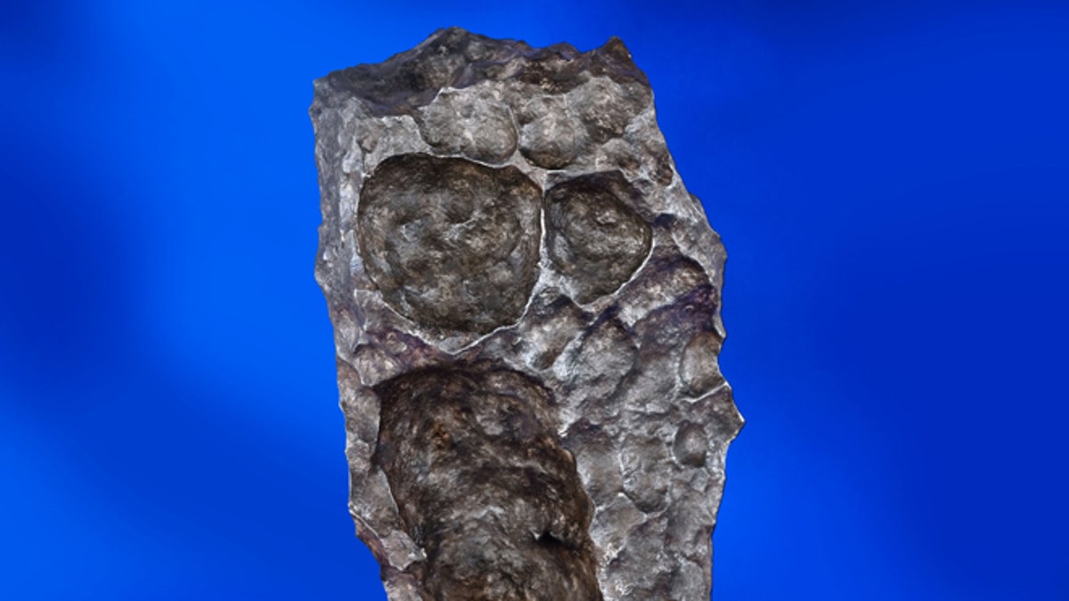 Meteorite Auction