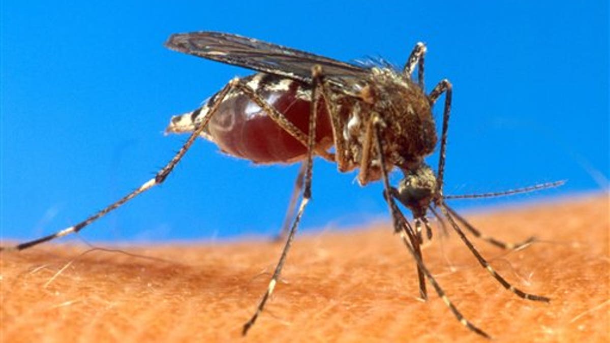 Caribbean Virus Outbreak