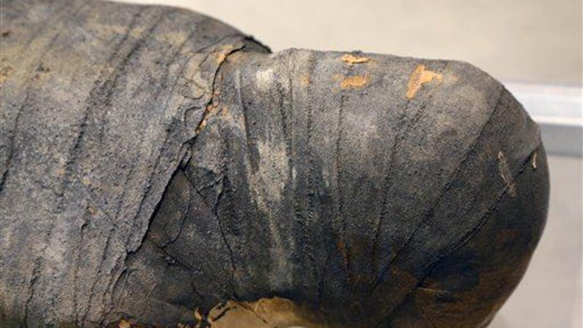 Chicago Mummy Museum