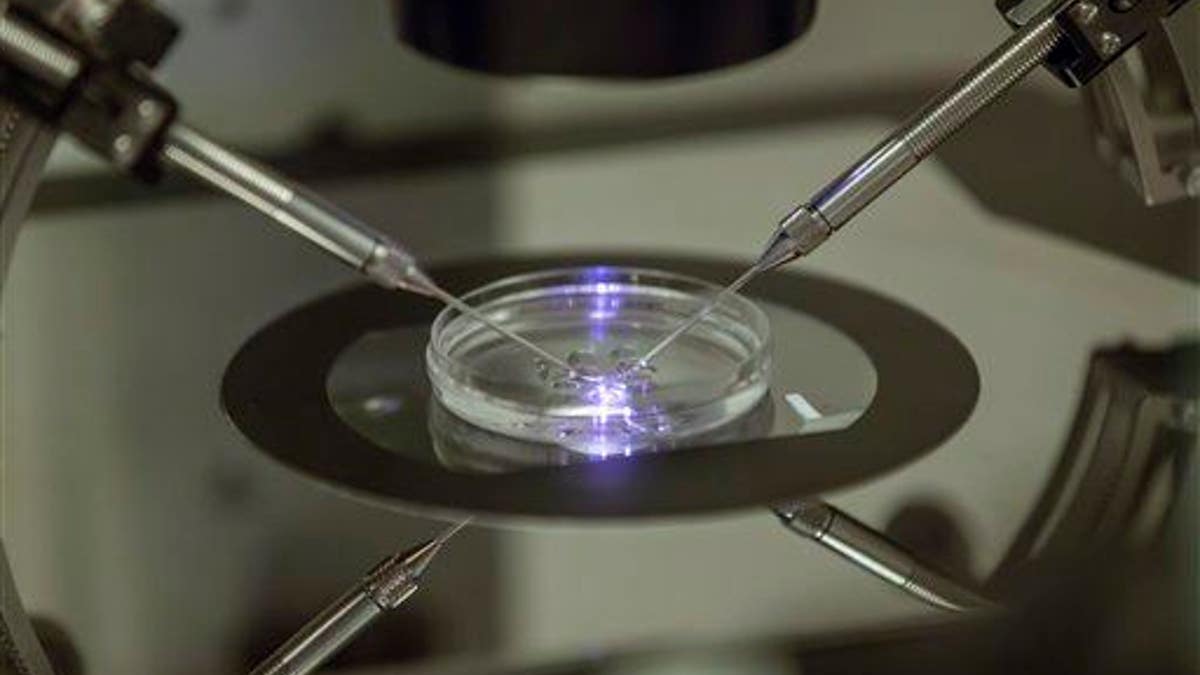 e9777849-Britain Cheap IVF