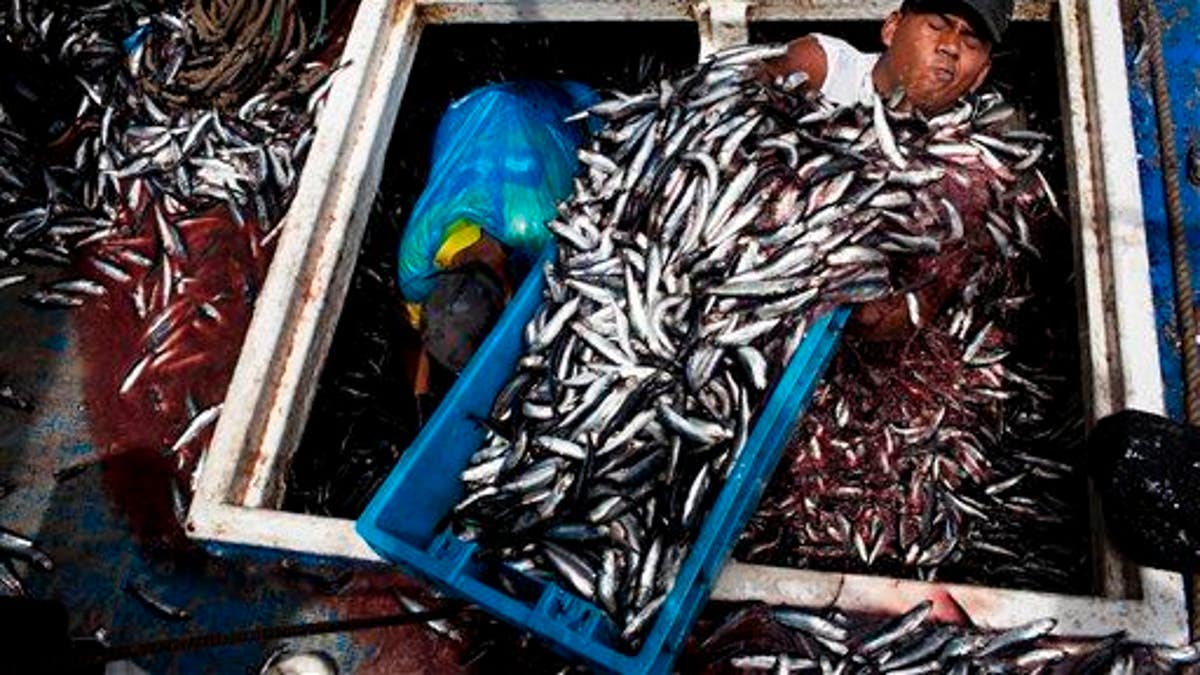 Peru Fishermen Fears