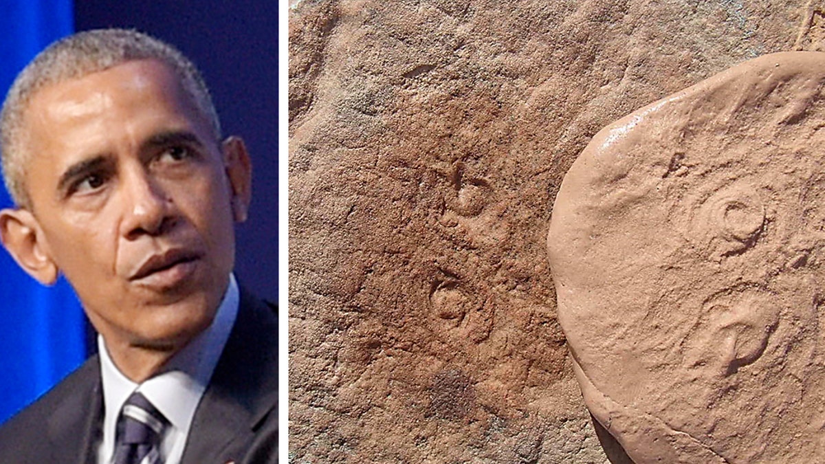 Obama and fossil Obamus coronatus