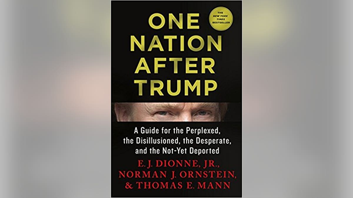 One Nation After Trump