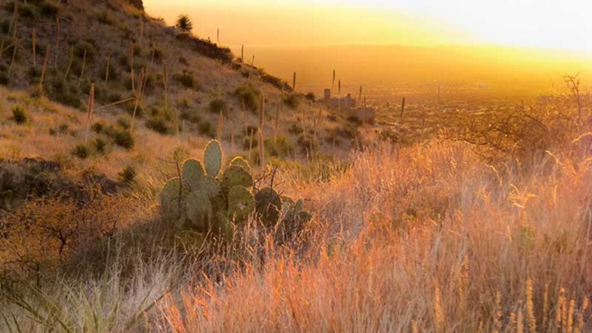 99774839-Organ Mountains-Designation