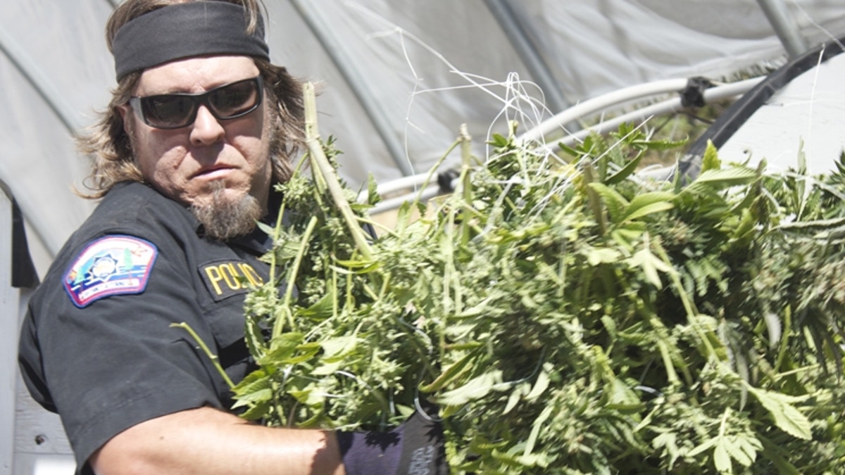 POT COPS