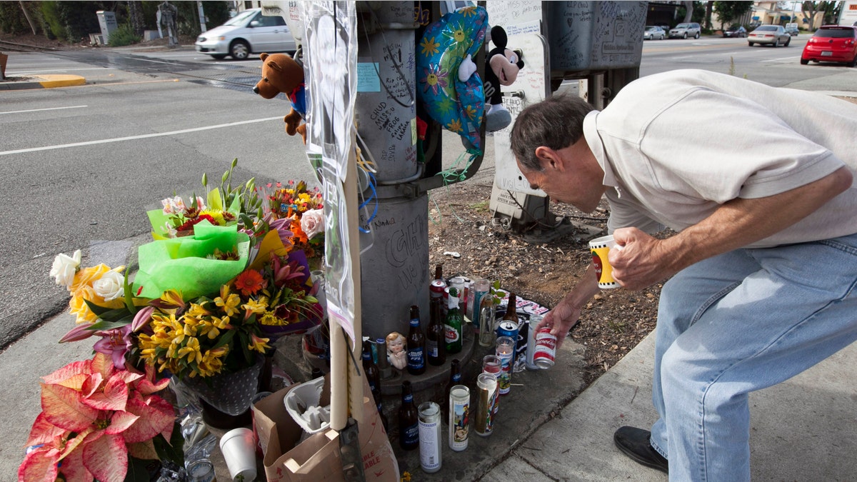 3d2bce5d-Pedestrian Struck