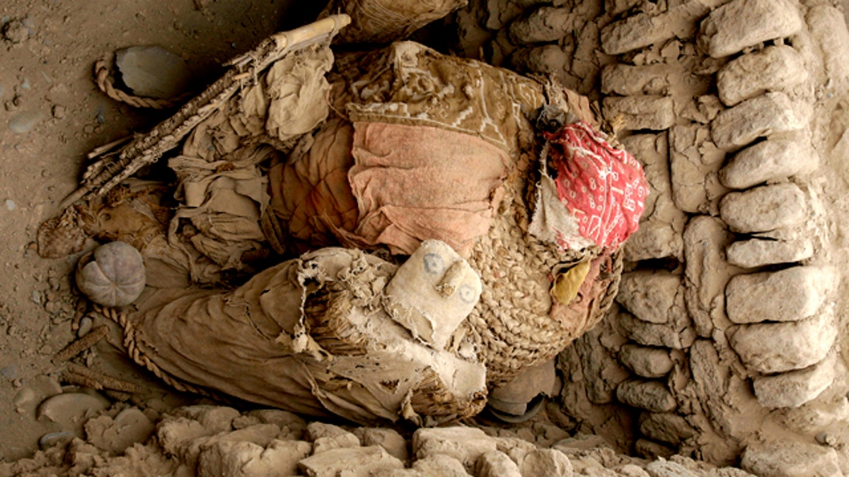 Peru Wari Mummies
