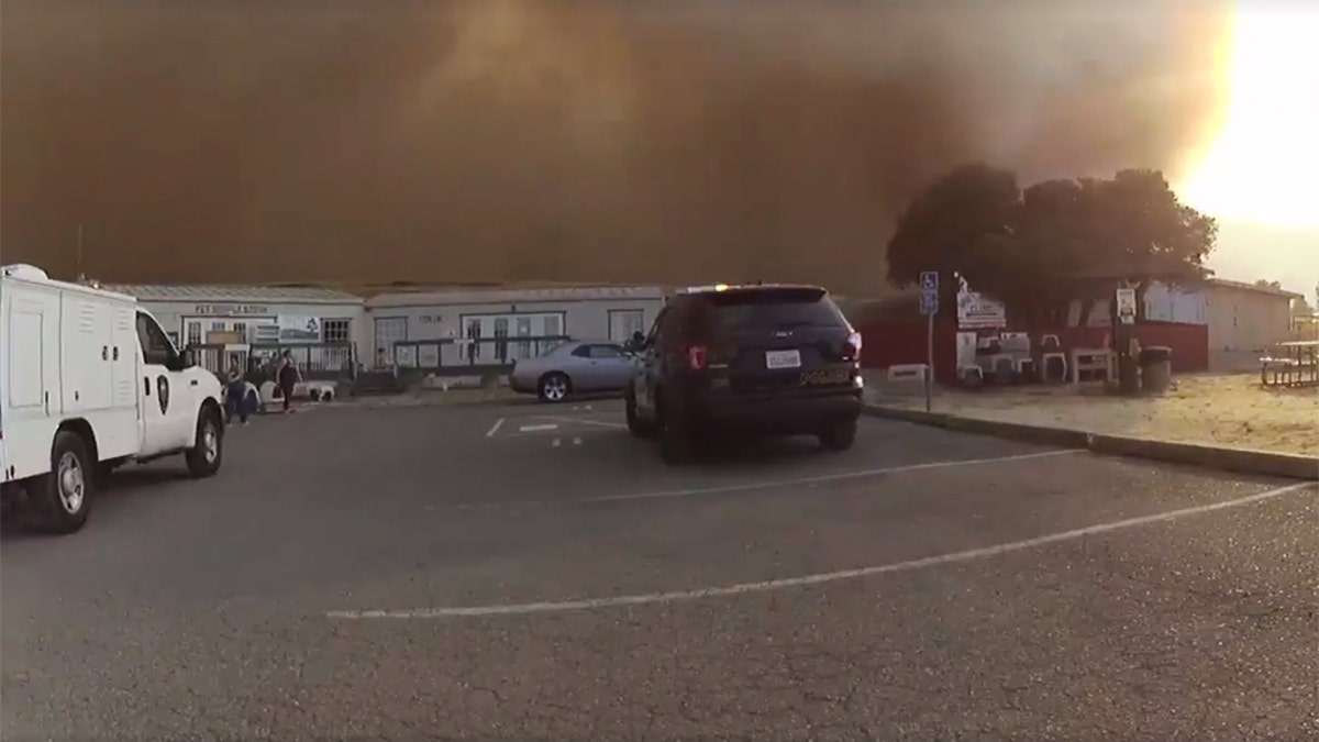 PD fights the clock as the Nelson Fire races towards the Solano SPCA. Video Shot