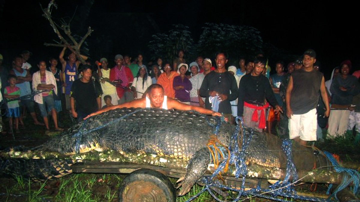 Philippines Giant Crocodile Dies