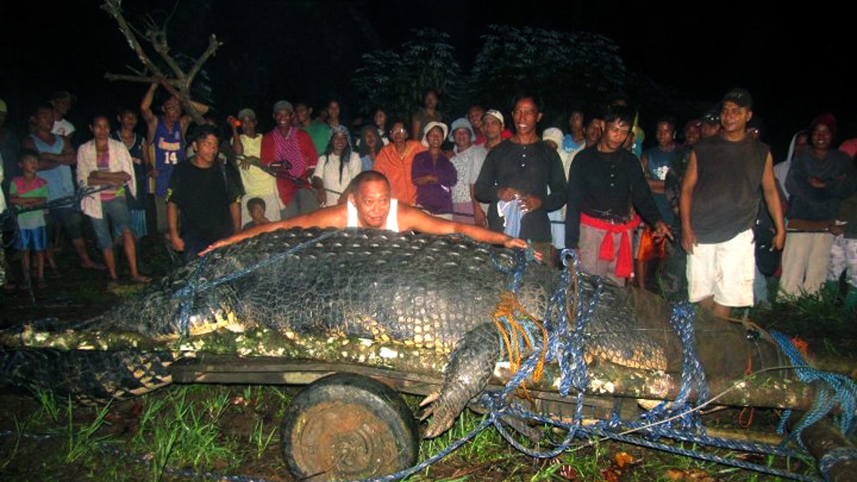 Philippines Giant Crocodile Dies