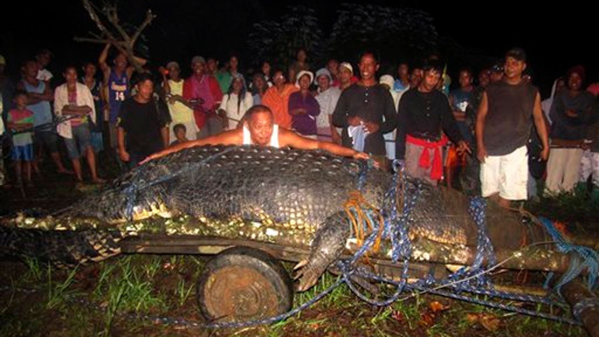 Philippines Killer Crocodile