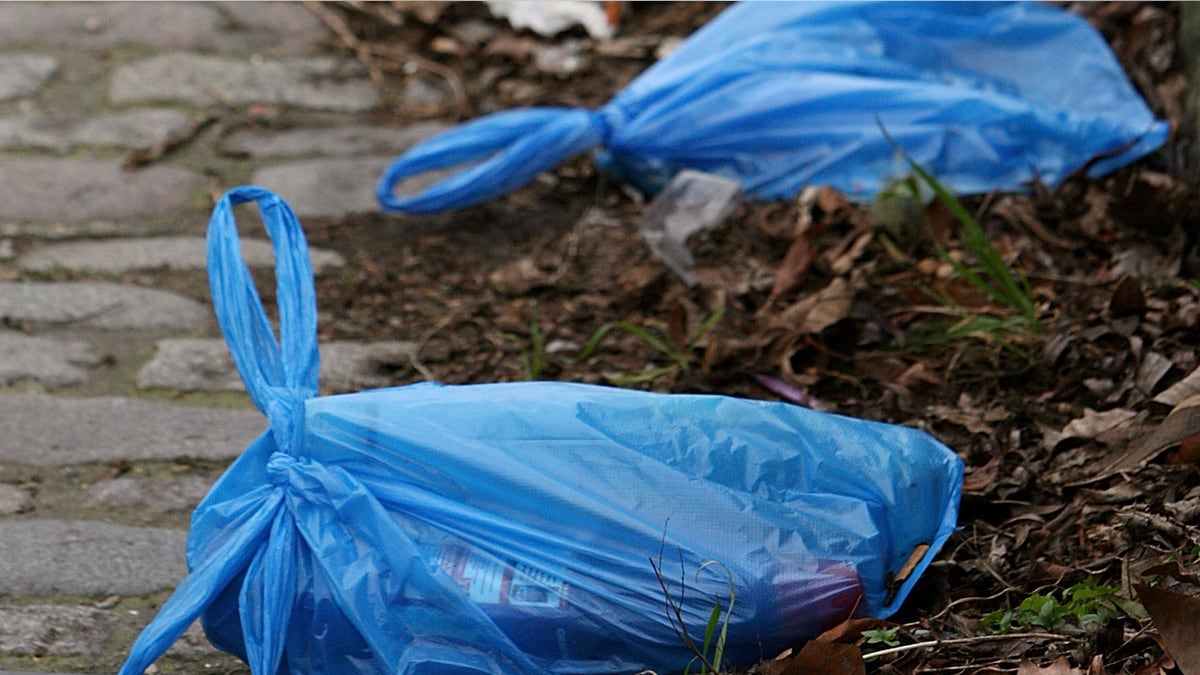 LONDON - MARCH 03:  Plastic bags of rubbish discarded on a walkway near Regent's Canal on February 29, 2008 in London, England. The Prime Minister Gordon Brown has stated that he will force retailers to help reduce the use of plastic bags if they do not do so voluntarily.  (Photo by Cate Gillon/Getty Images)