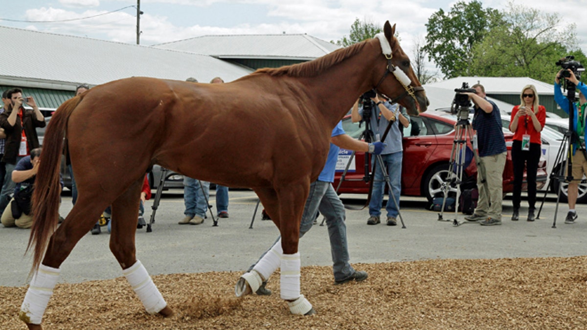 2f947099-Preakness Stakes Horse Racing
