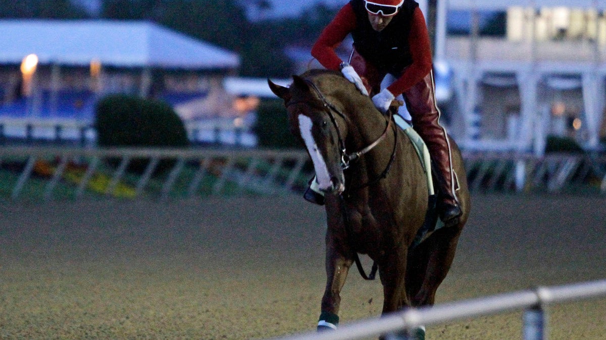 a652359e-Preakness Horse Racing