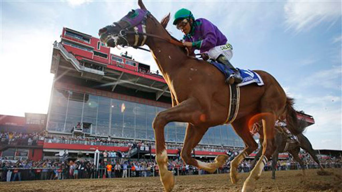 California Chrome Memenangkan Preakness, Mengarahkan Sapu Triple Crown