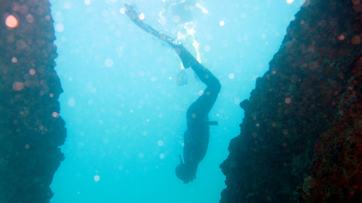 APTOPIX Puerto Rico Freediving