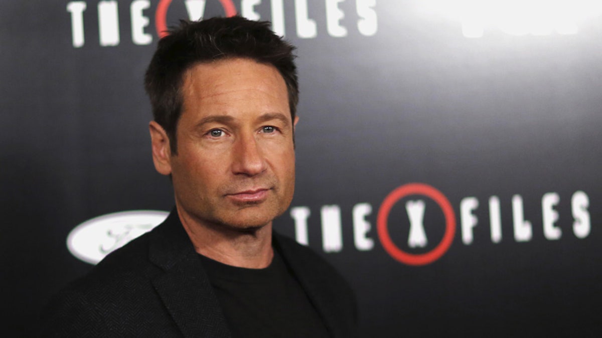 Reuters David Duchovny