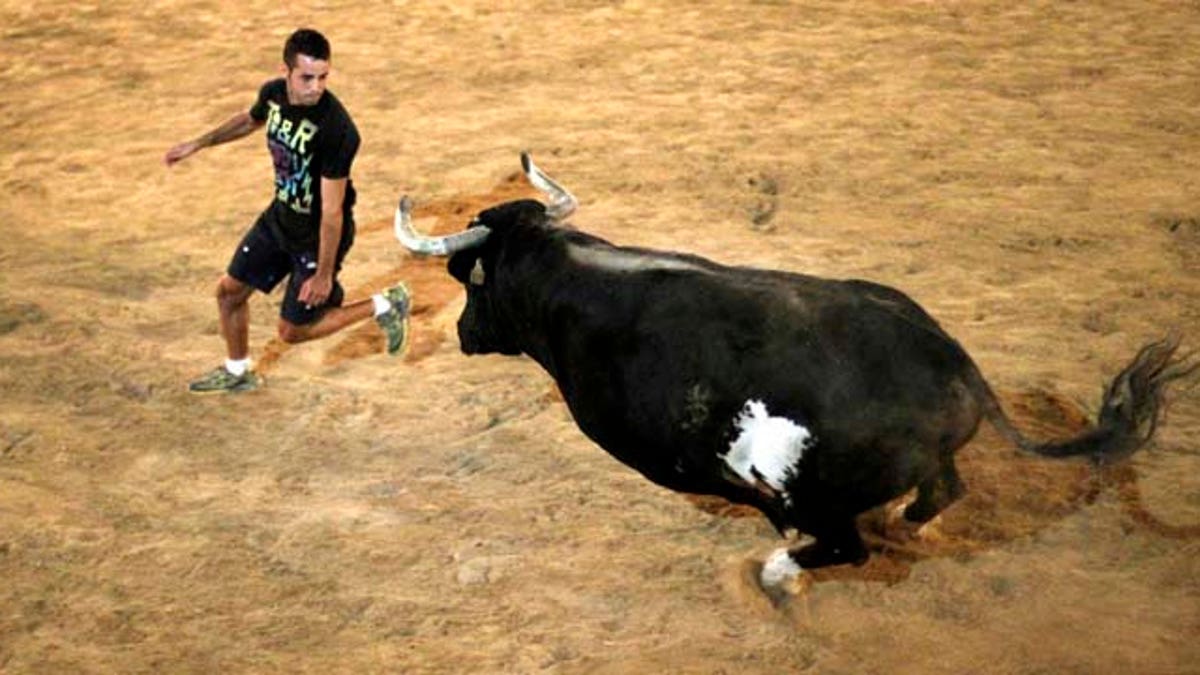 CORRECTION Spain Killer Bull