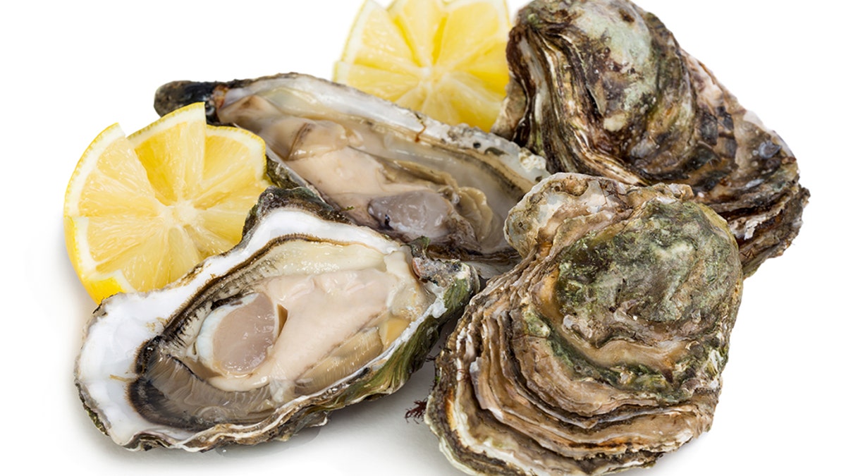 2404383d-Oysters