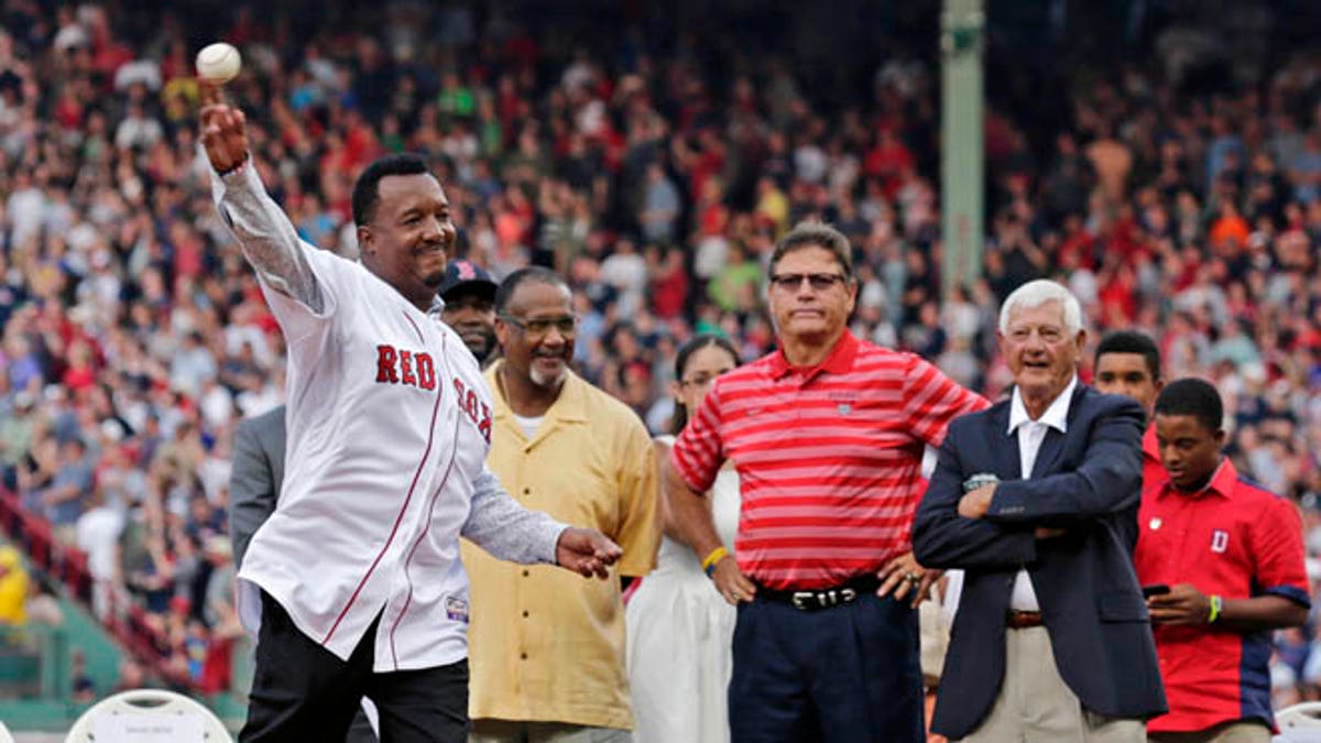 Red Sox Pedro Baseball