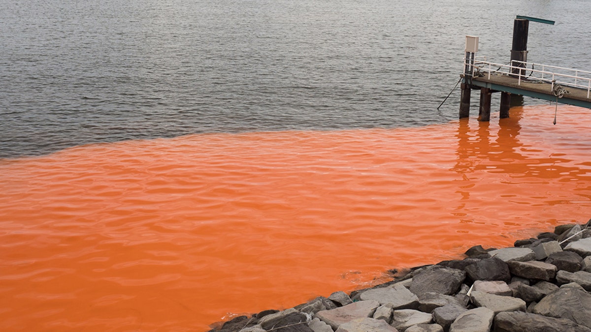 Red Tide iStock