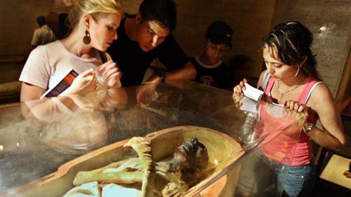 Egypt Mummies DNA