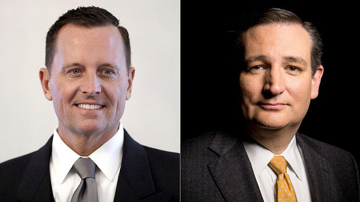 3d9b83cb-Richard Grenell Ted Cruz AP