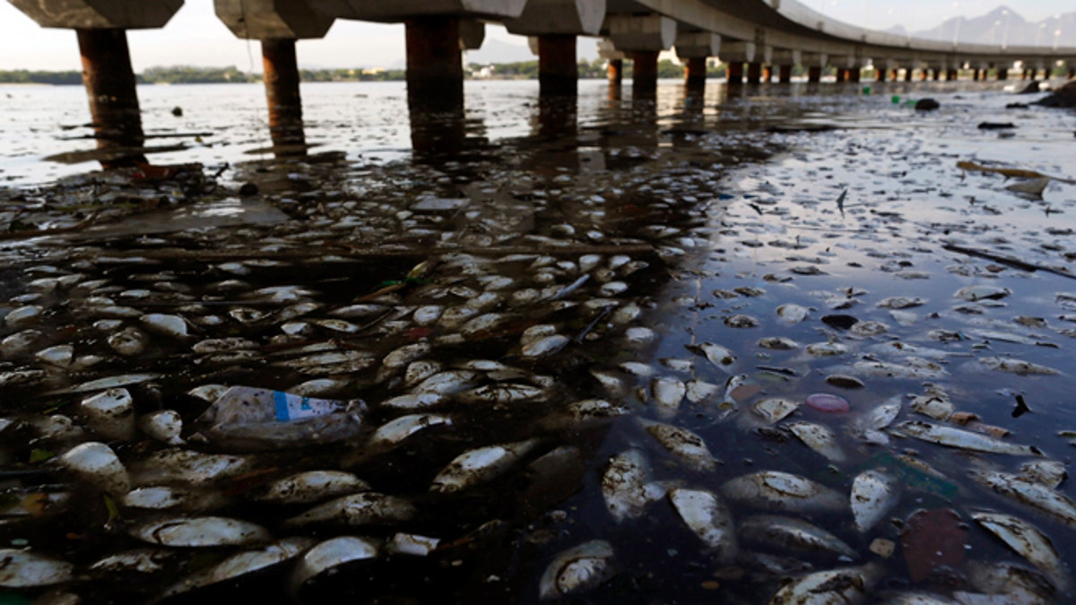 Brazil Rio 2016 Filthy Water
