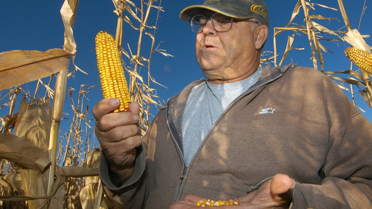 Ethanol Losing Grassland