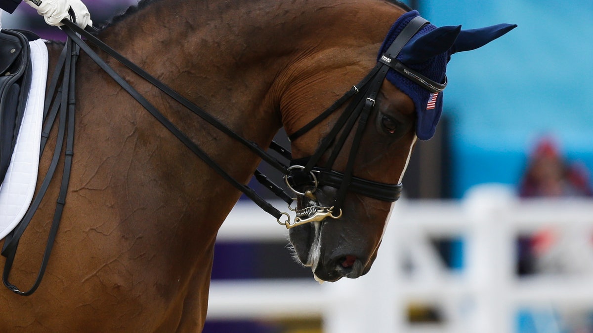 d6796058-London Olympics Equestrian