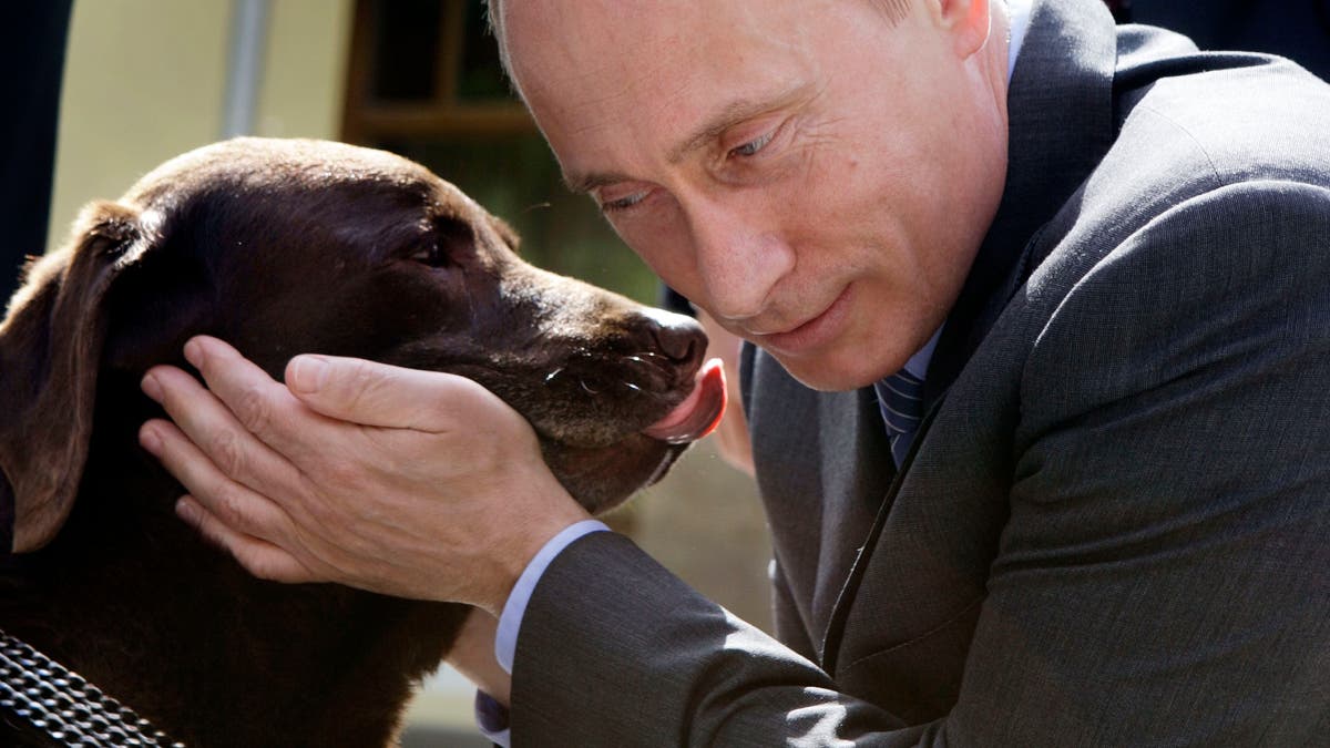Russia Putin's New Dog