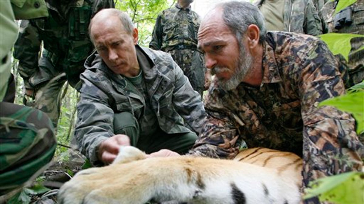 Russia Putin's Tigress