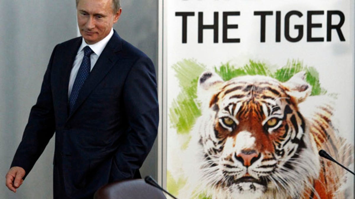Russia Saving Tigers