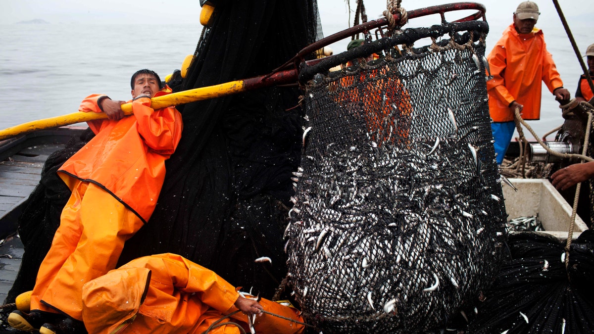 6be1bcec-Peru Overfishing