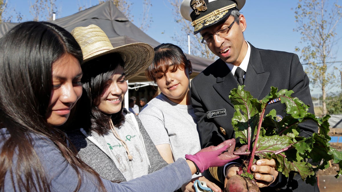 School Garden