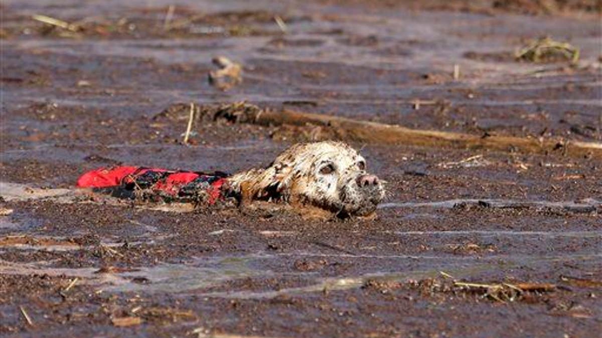 f77332c0-Fatal Flash Floods