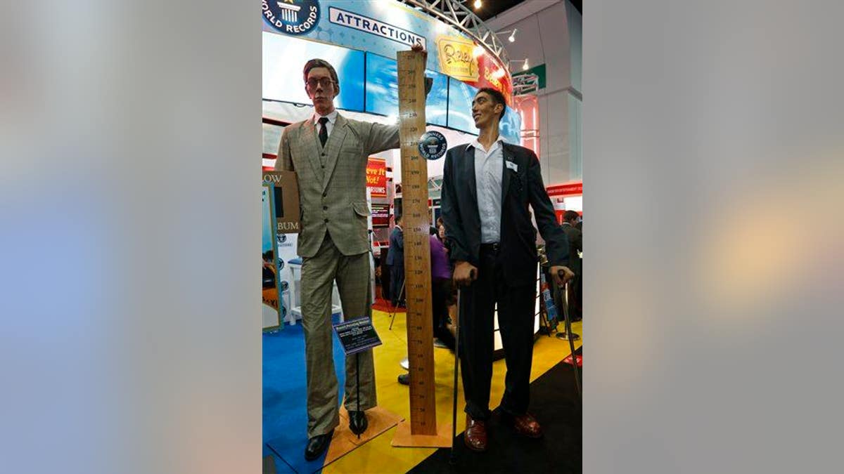 Hong Kong Tallest Man