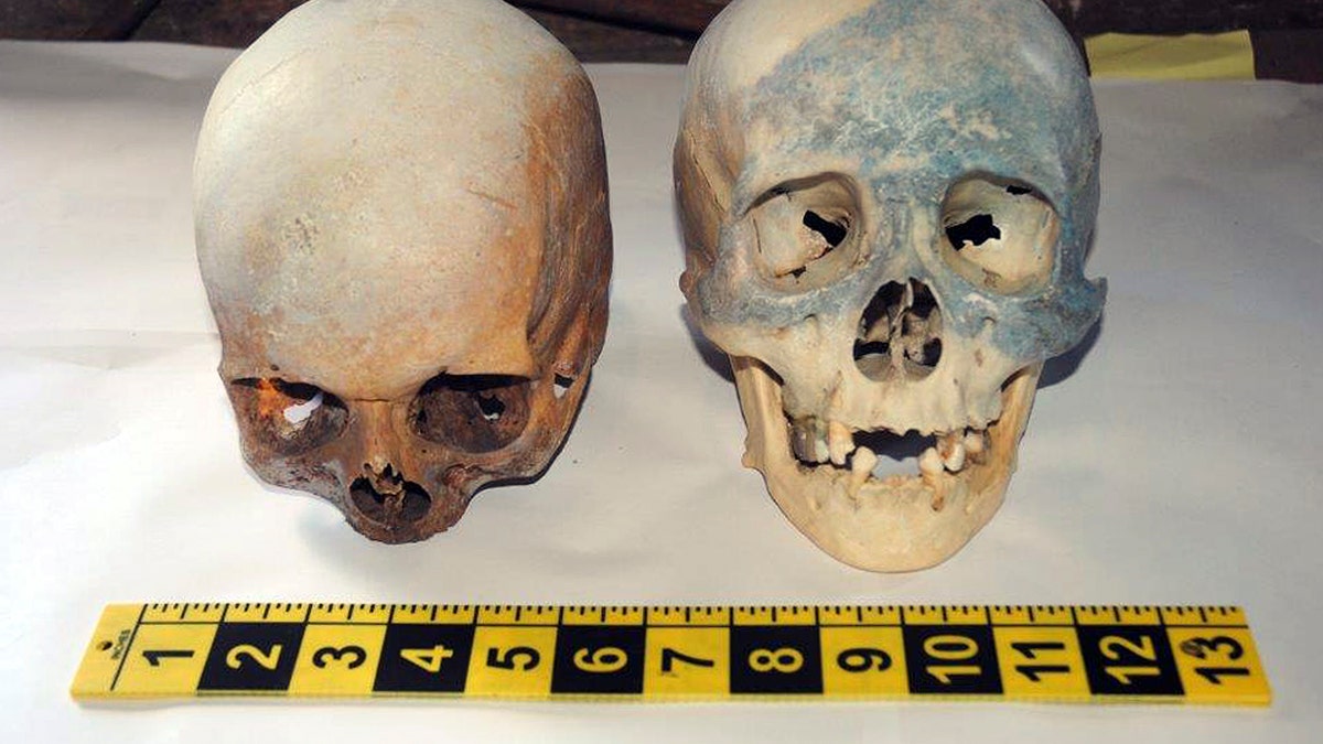 Skulls Discovered