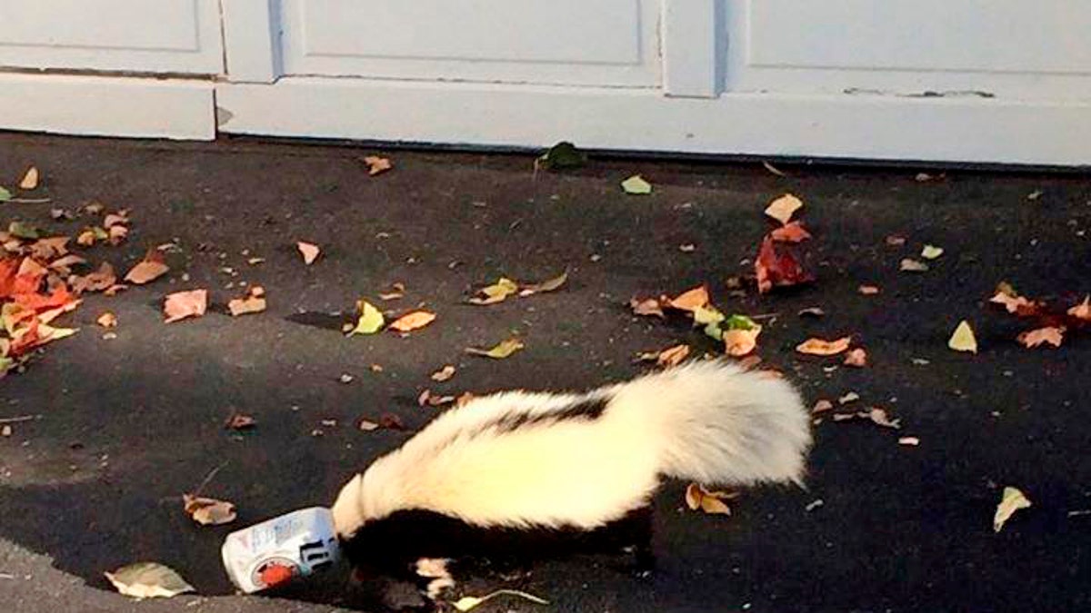 Skunk Stuck Beer Can