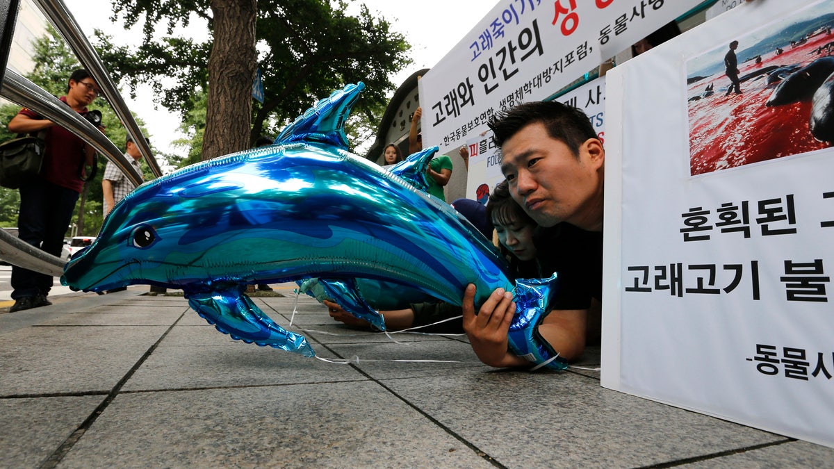 South Korea Whaling