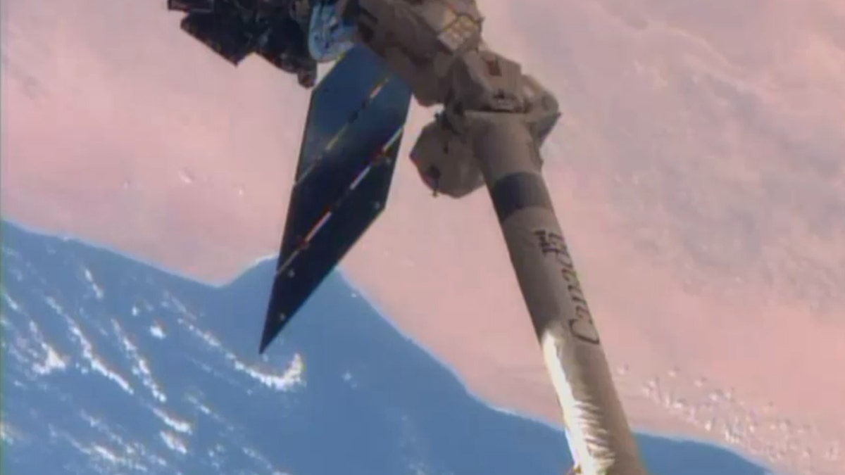 Space Station Cygnus