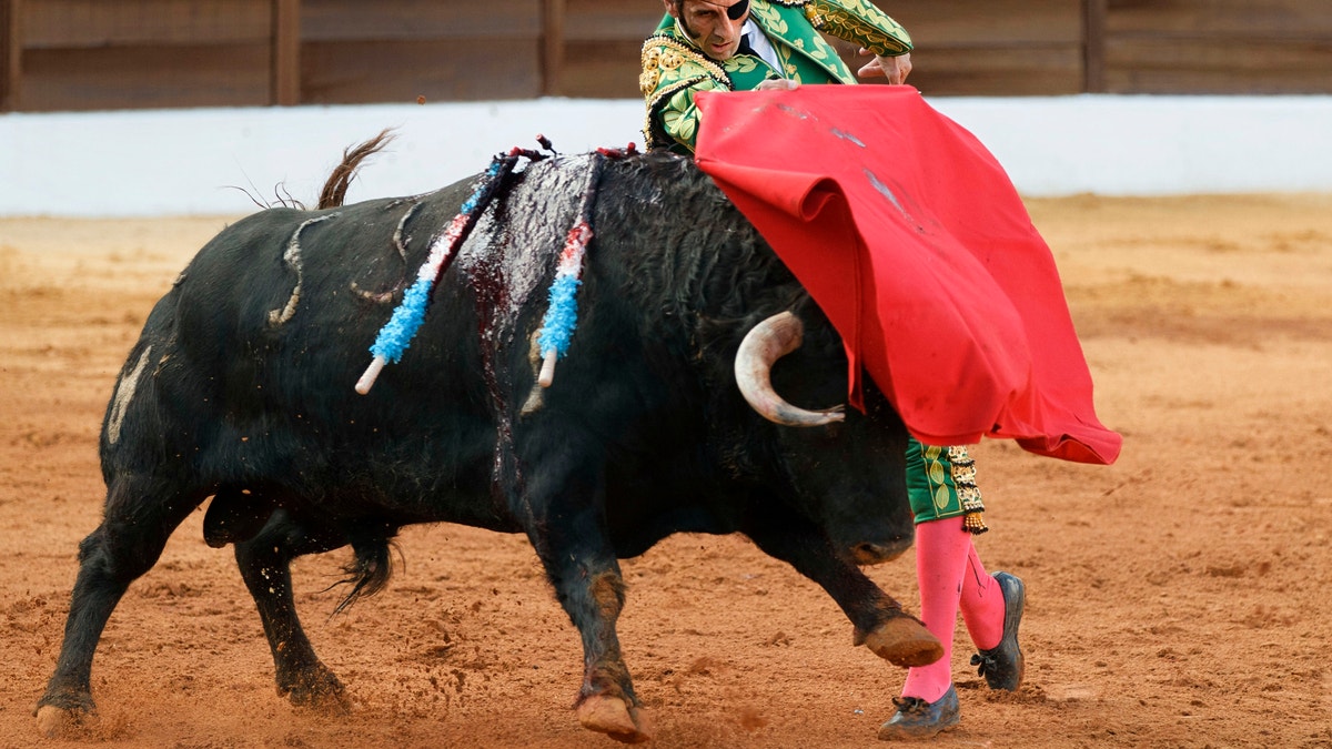 Spanish bullfighter Juan Jose Padilla performs during a bullfight at the southwestern Spanish town of Olivenza, Sunday, March 4, 2012. Padilla, 38-year-old matador who is also known by his professional name of 'the Cyclone of Jerez',  lost sight in one eye and has partial facial paralysis after a terrifying goring returned to the bullring Sunday, five months after his injury.(AP Photo/Daniel Ochoa de Olza)