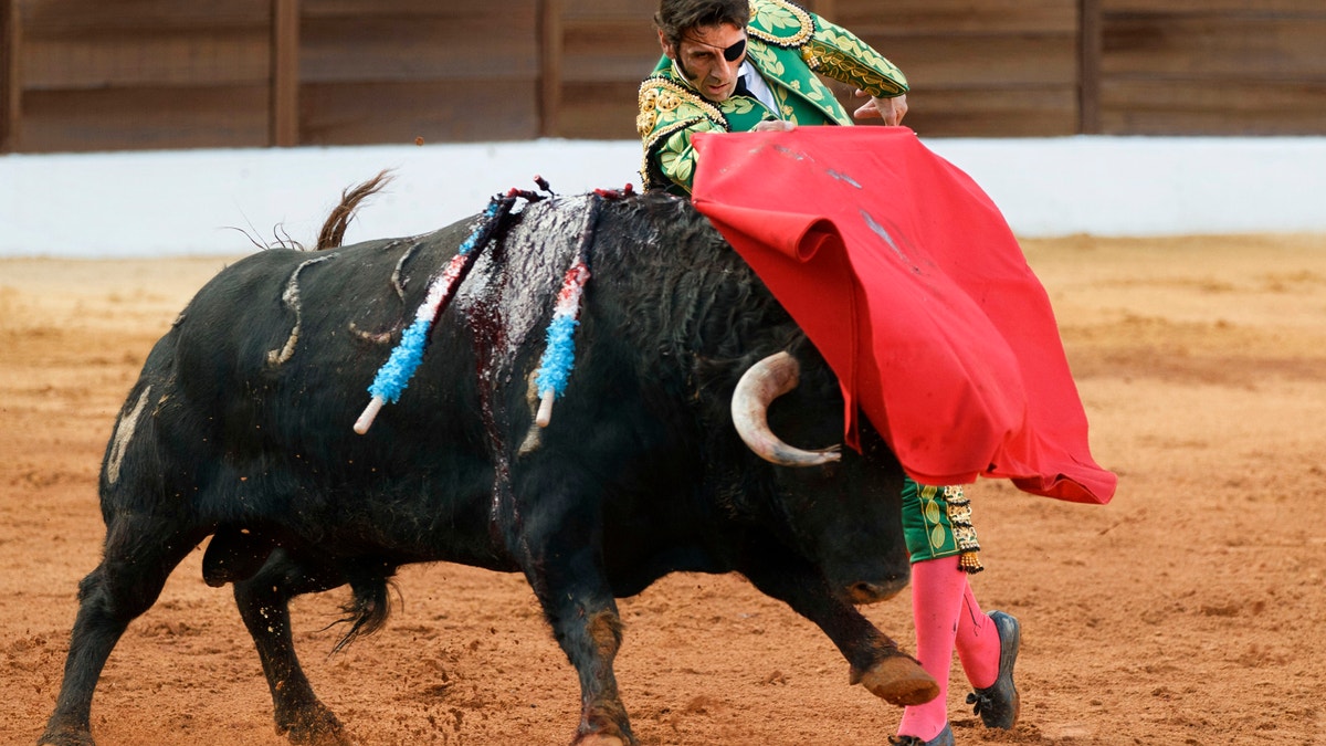 Spanish bullfighter Juan Jose Padilla performs during a bullfight at the southwestern Spanish town of Olivenza, Sunday, March 4, 2012. Padilla, 38-year-old matador who is also known by his professional name of 'the Cyclone of Jerez',  lost sight in one eye and has partial facial paralysis after a terrifying goring returned to the bullring Sunday, five months after his injury.(AP Photo/Daniel Ochoa de Olza)