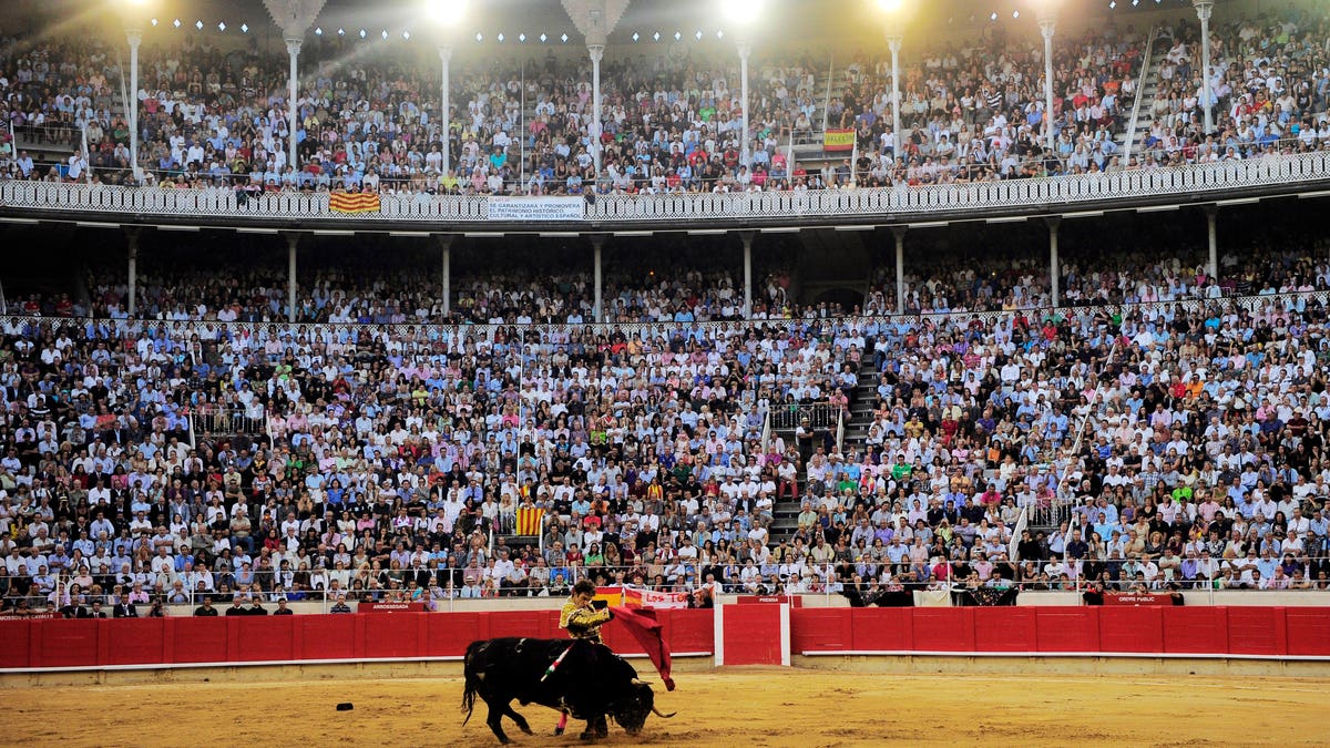 Spain Bullfighting Ban